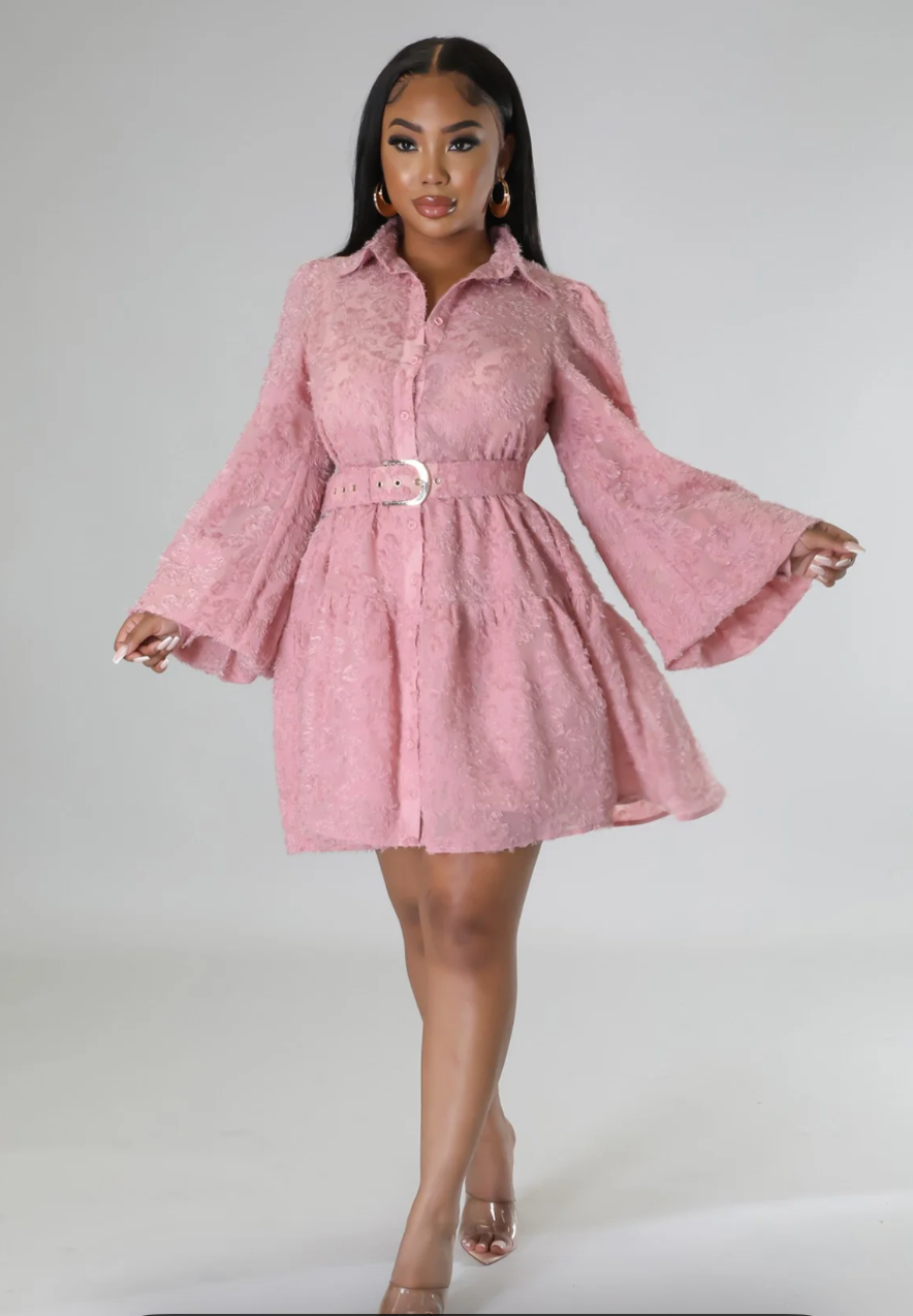 WHIMSY DRESS